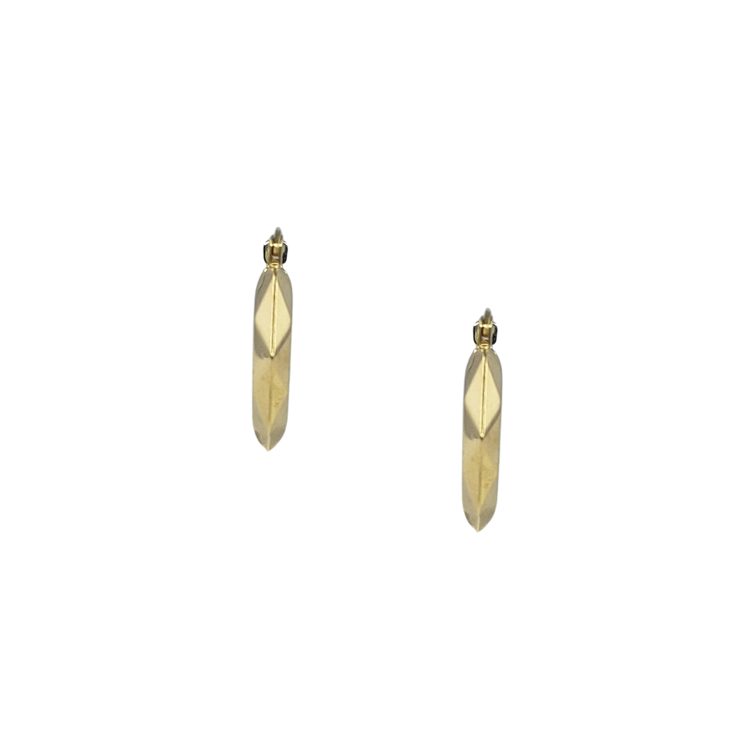 9ct Yellow Gold Hoop Earrings