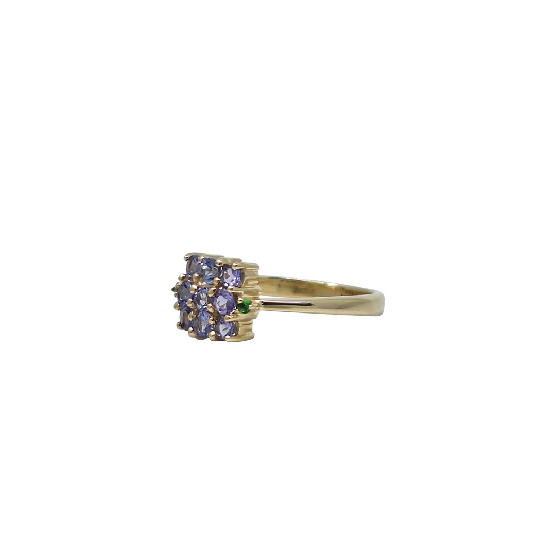 9ct Yellow Gold Tanzanite & Tsavorite Ring