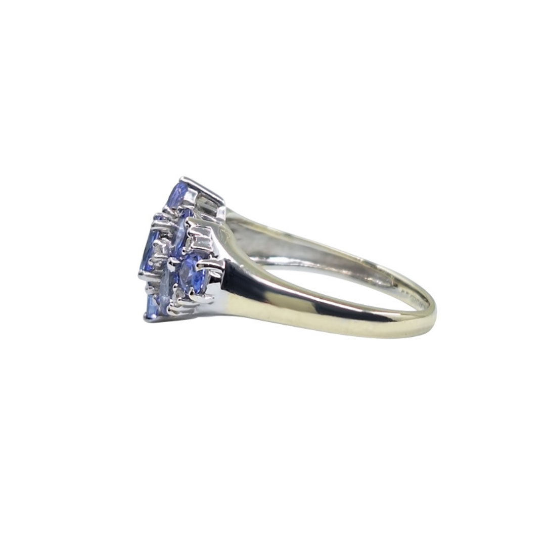 9ct White Gold Tanzanite & Diamond Cluster Ring