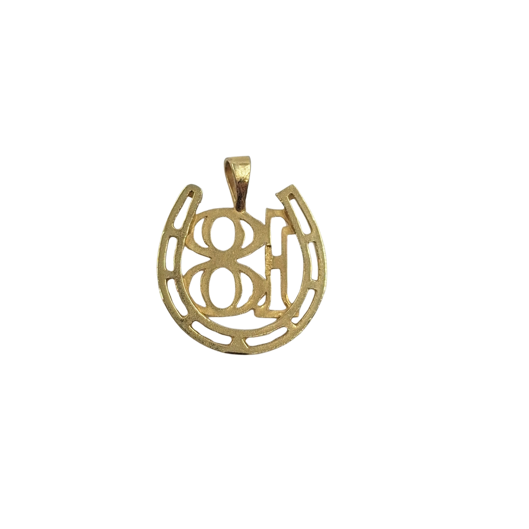 9ct Yellow Gold 18 Horseshoe Pendant