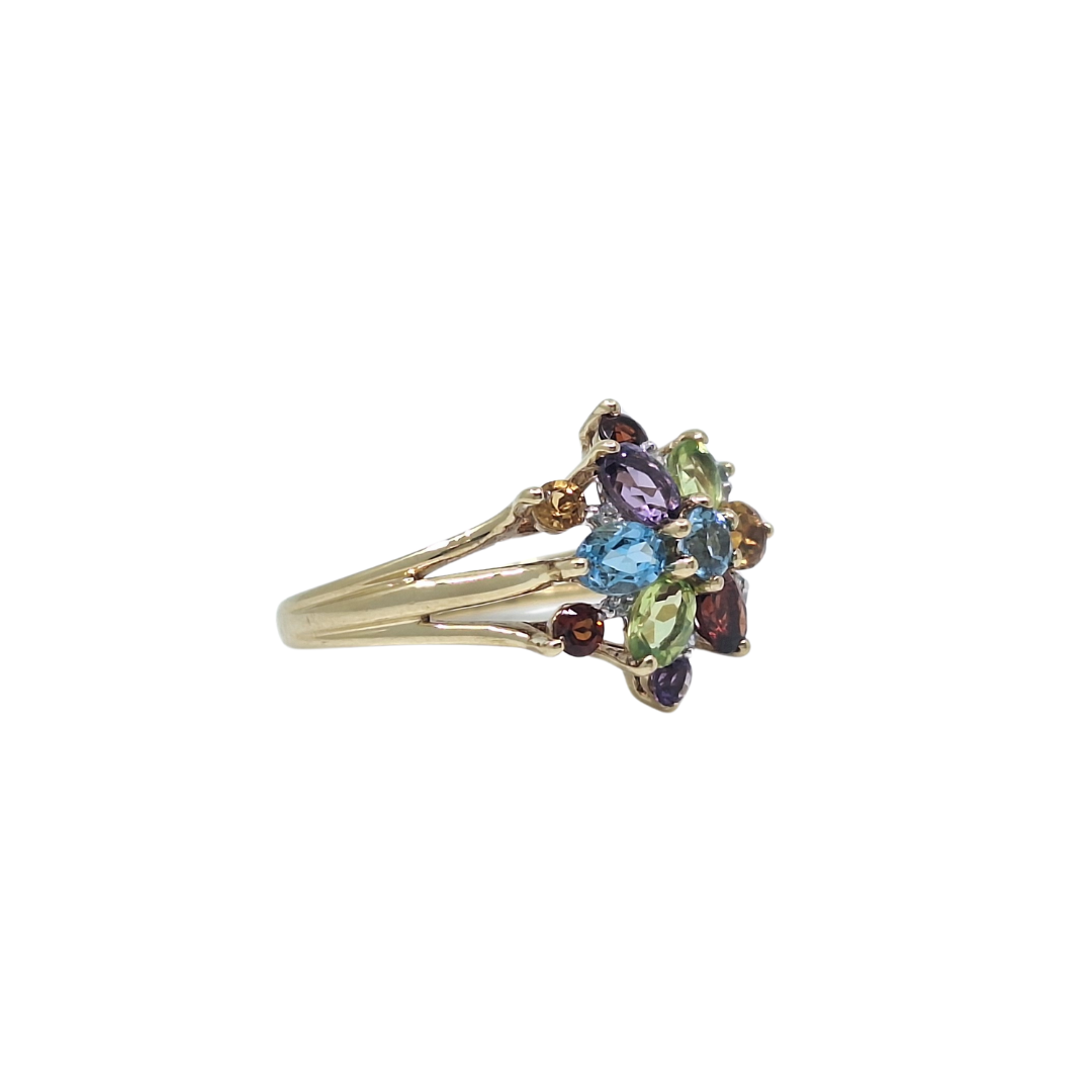 9ct Yellow Gold Multi Gemstone Ring