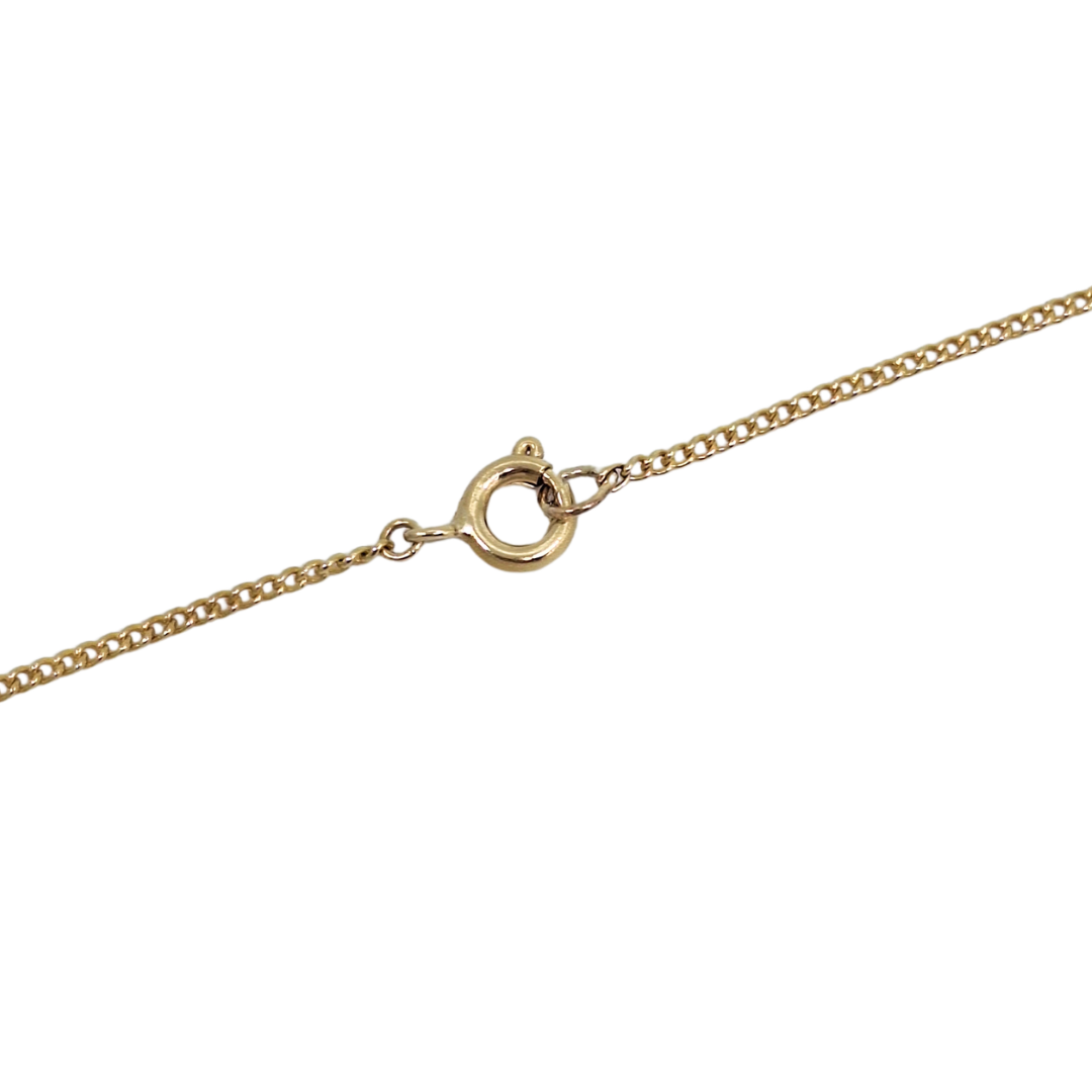 9ct Yellow Gold Horn Pendant & Chain 20"