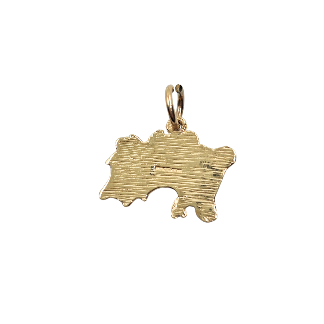 9ct Yellow Gold Jersey Charm