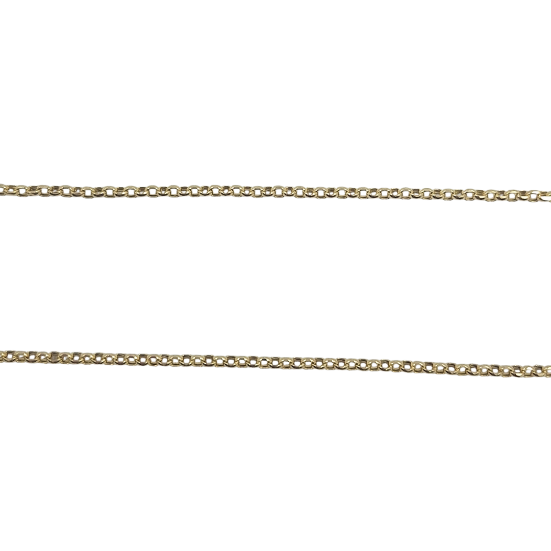 9ct Yellow Gold Lion Pendant On 20" Belcher Chain