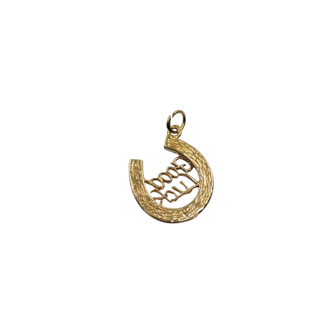 9ct Yellow Gold Good Luck Horseshoe Charm