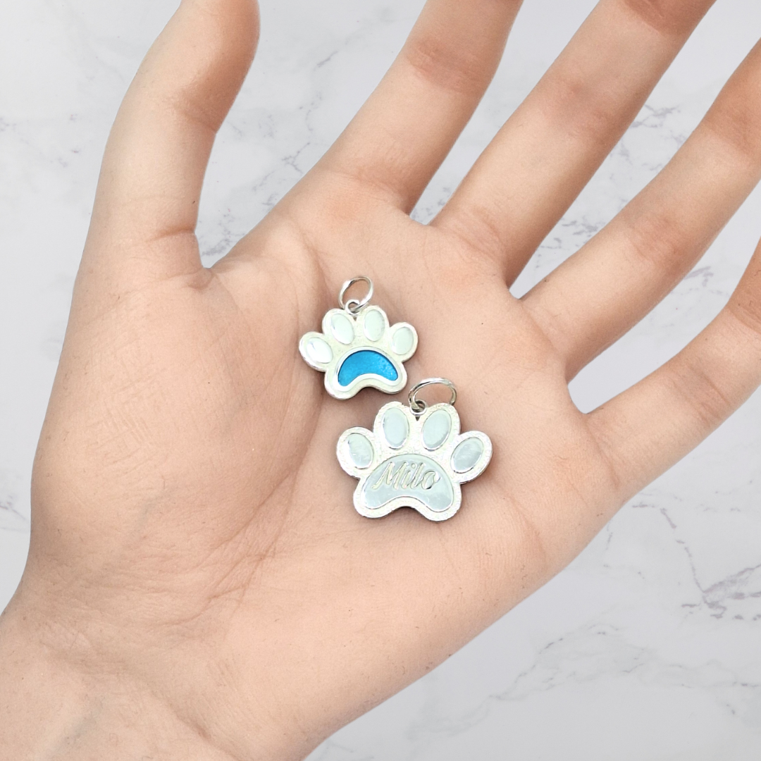 Ever-Paw Silver & Gemstone Pendant (Large)