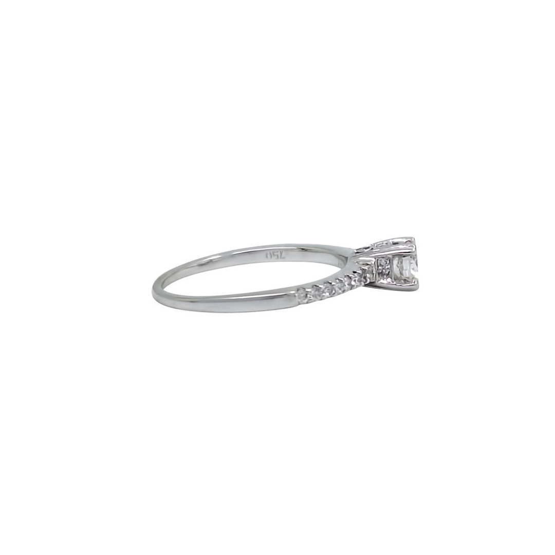 18ct White Gold Diamond Solitaire Ring With Diamond Shoulders